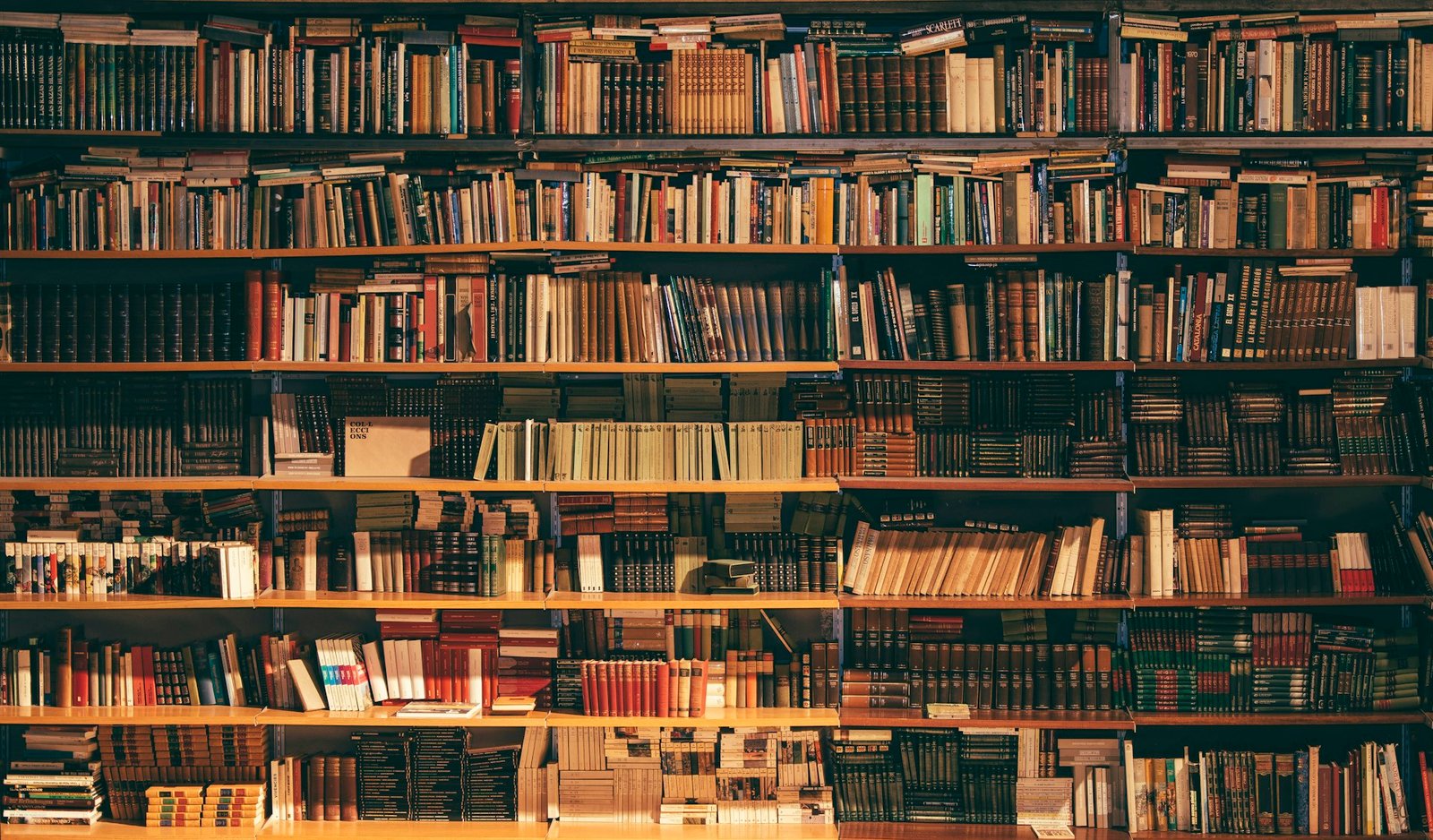 Library bookshelves background